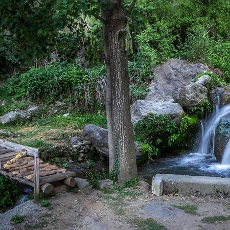 Babutaal Resort Чакрата Екстериор снимка