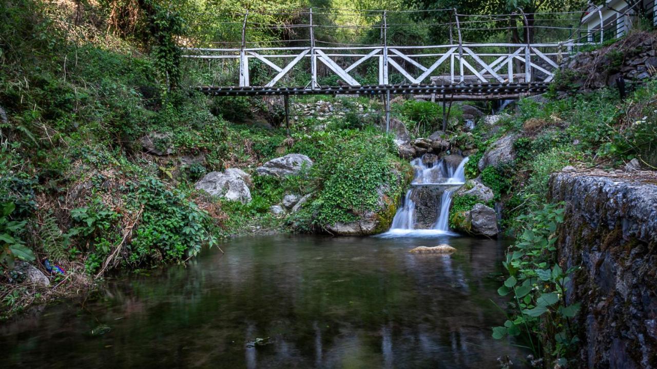 Babutaal Resort Чакрата Екстериор снимка