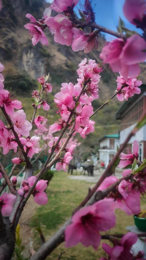 Babutaal Resort Чакрата Екстериор снимка